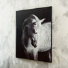LACYLUXE WALL PAINTING
