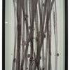 WALL PAINTING - WHITE
