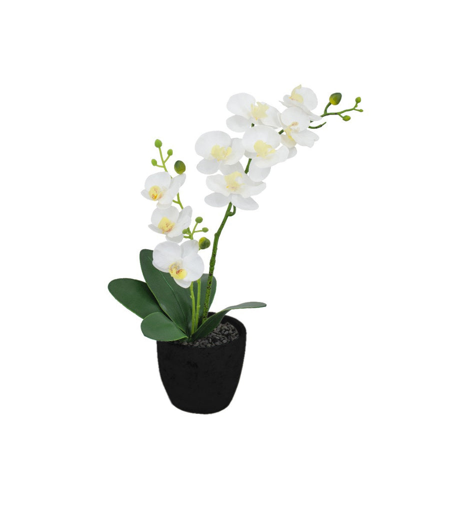 ORCHIDA ARTIFICIAL POTTED FLOWER - BLACK