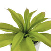 ANKOVO ARTIFICIAL PLANT + POT 27CM - GREEN