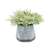 XIAO ARTIFICIAL PLANT WITH POT 27CM