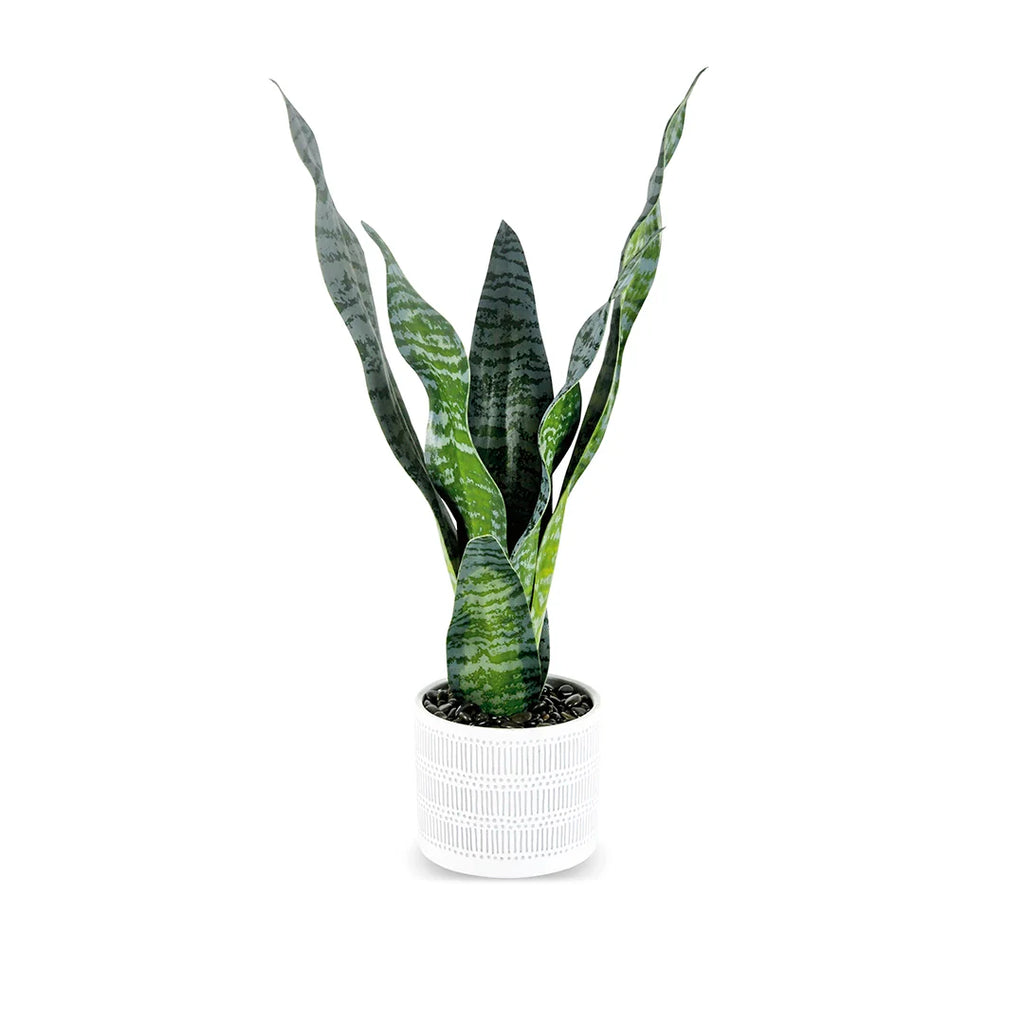 STRELITZ ARTIFICIAL PLANT WITH POT 50CM