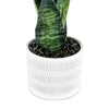 STRELITZ ARTIFICIAL PLANT WITH POT 50CM