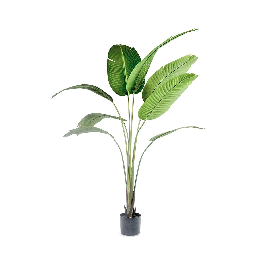 ANSHI ARTIFICIAL PLANT 157CM