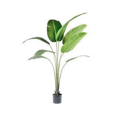 ANSHI ARTIFICIAL PLANT 157CM