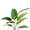 ANSHI ARTIFICIAL PLANT 157CM