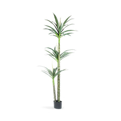 LEMO ARTIFICIAL PLANT 167CM