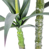 LEMO ARTIFICIAL PLANT 167CM