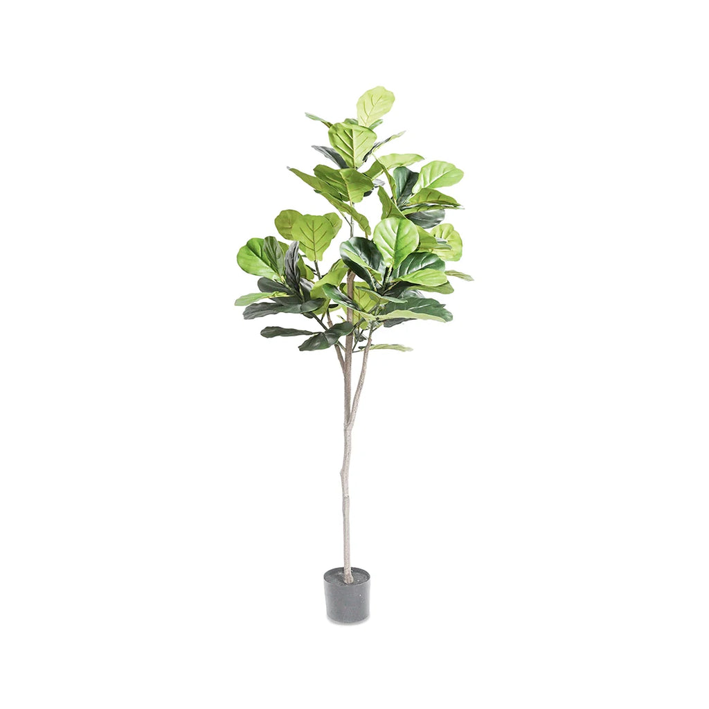 EUDOXIA ARTIFICIAL PLANT 190CM