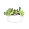 AFINIA ARTIFICIAL FLOWER WITH POT 16CM