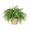 SOFIA ARTIFICIAL PLANT WITH POT 36CM