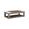 LOYASKA CENTER TABLE BROWN
